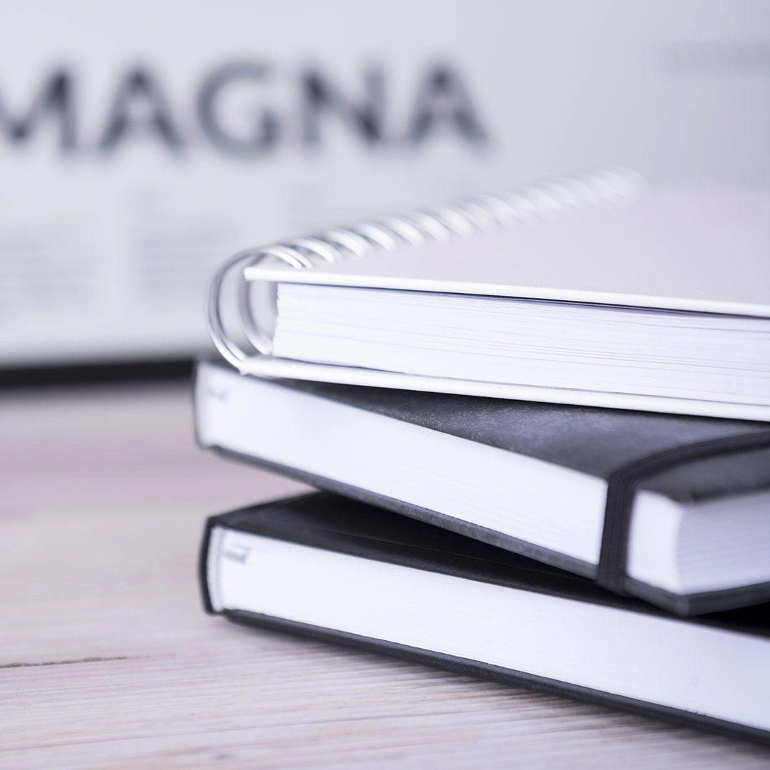 Immagine Polo Bimbo Colore 