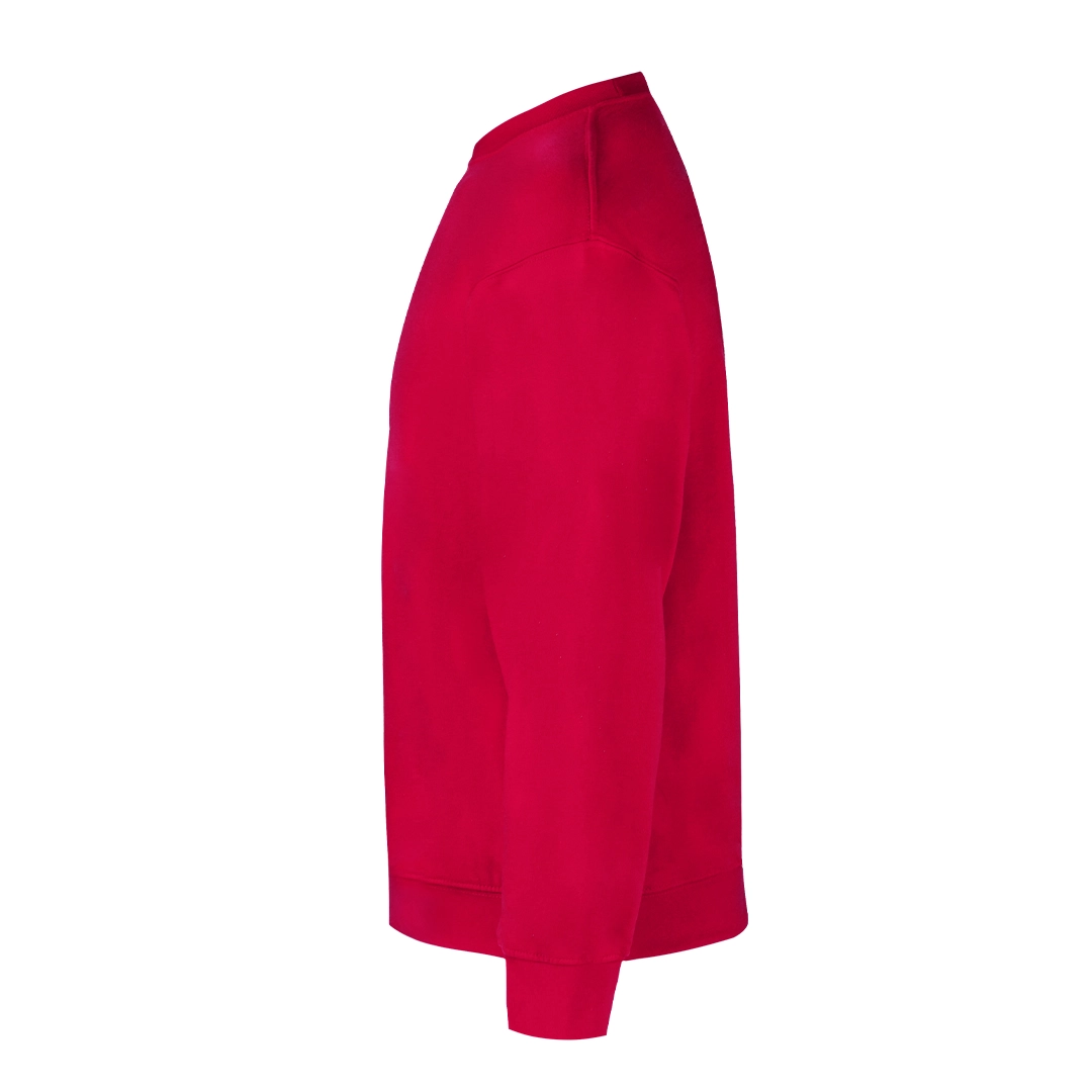 Immagine Felpa Adulto 