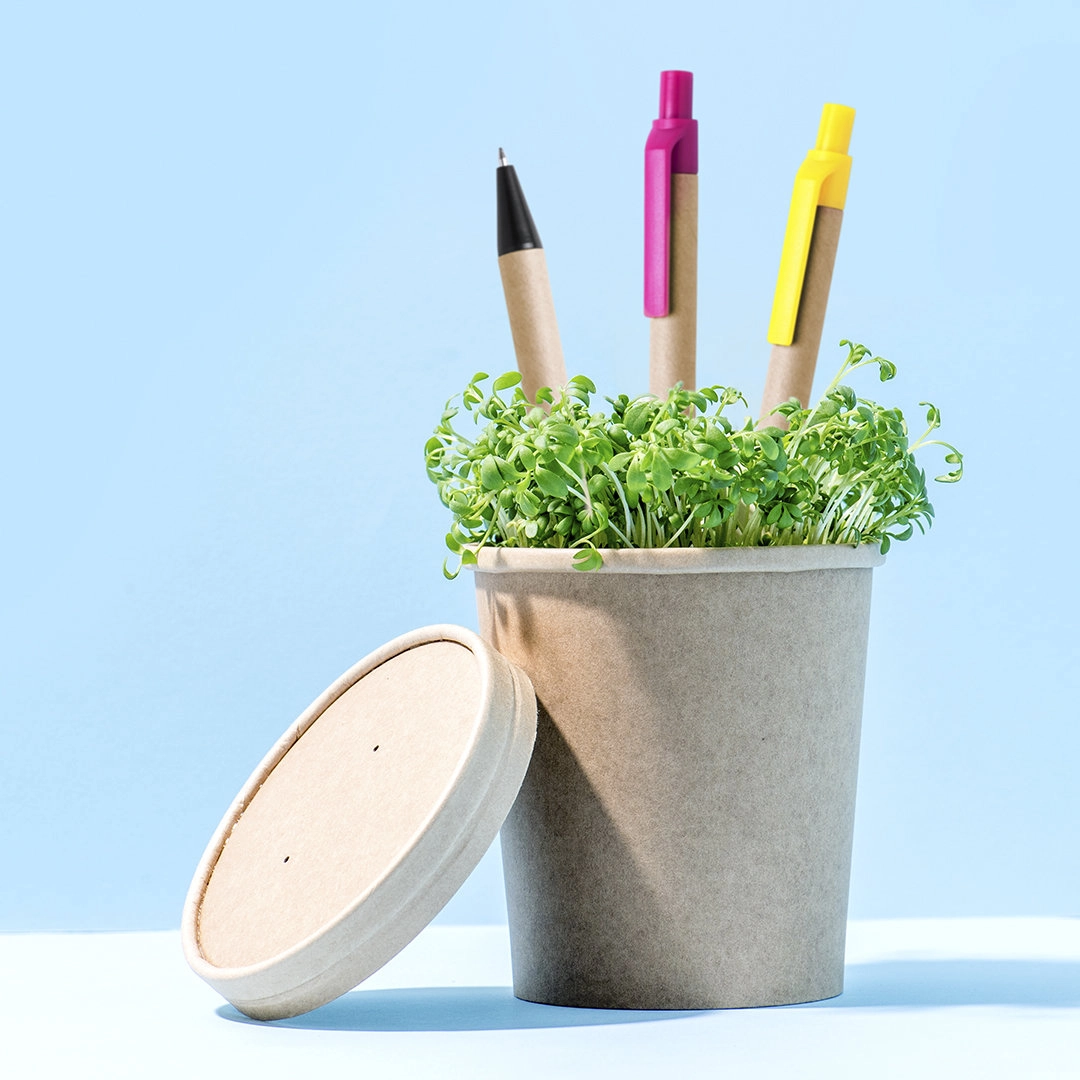 Immagine Penna a Sfera Tori