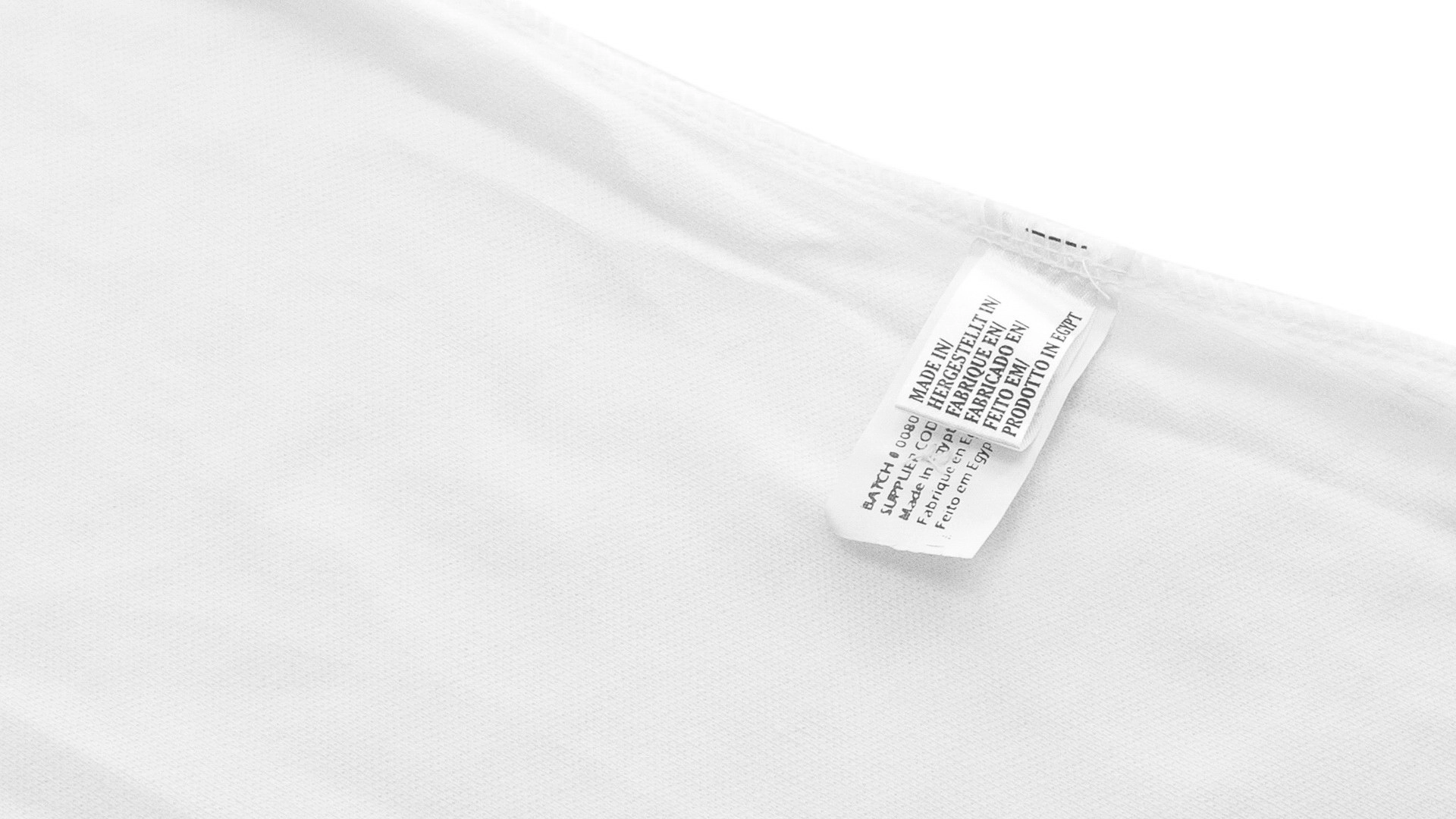 Immagine Polo Donna 65/ 35