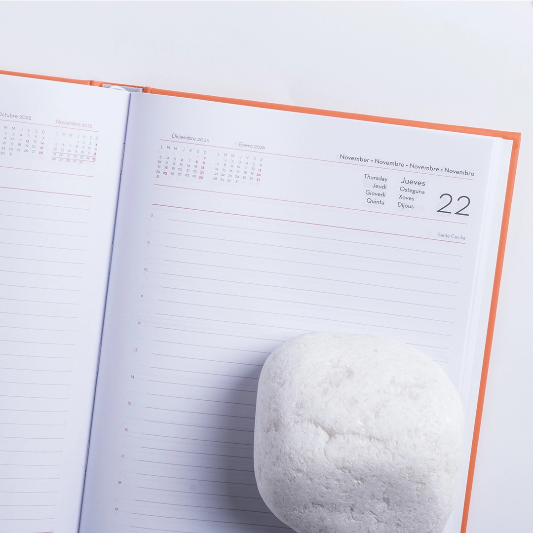 Immagine Agenda Cannes