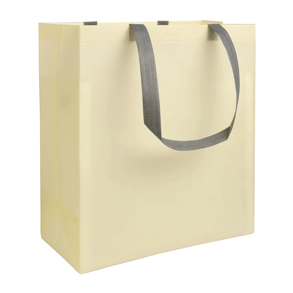 Immagine Shopper con soffietto in TNT laminato 100 g/m2 termosaldato, manici lunghi