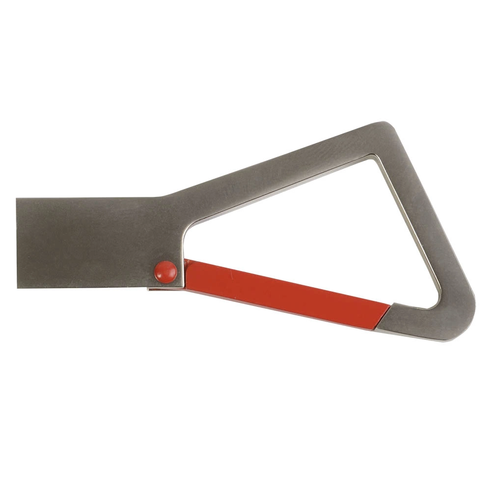 Immagine Chiavetta USB 4 Gb in metallo con moschettone. Possibilità di import su richiesta