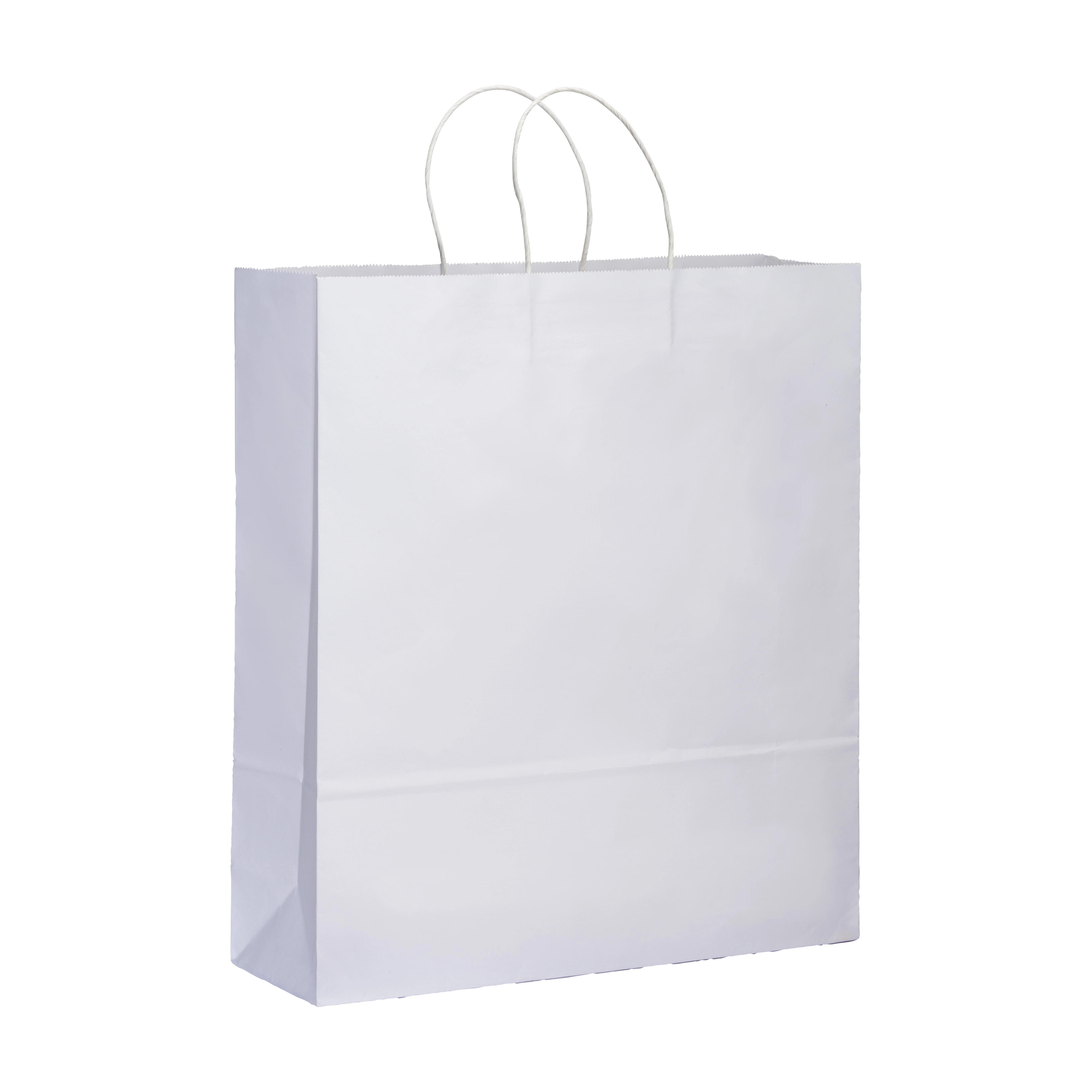 Immagine Shopper in carta 100 gr/m2 con soffietto