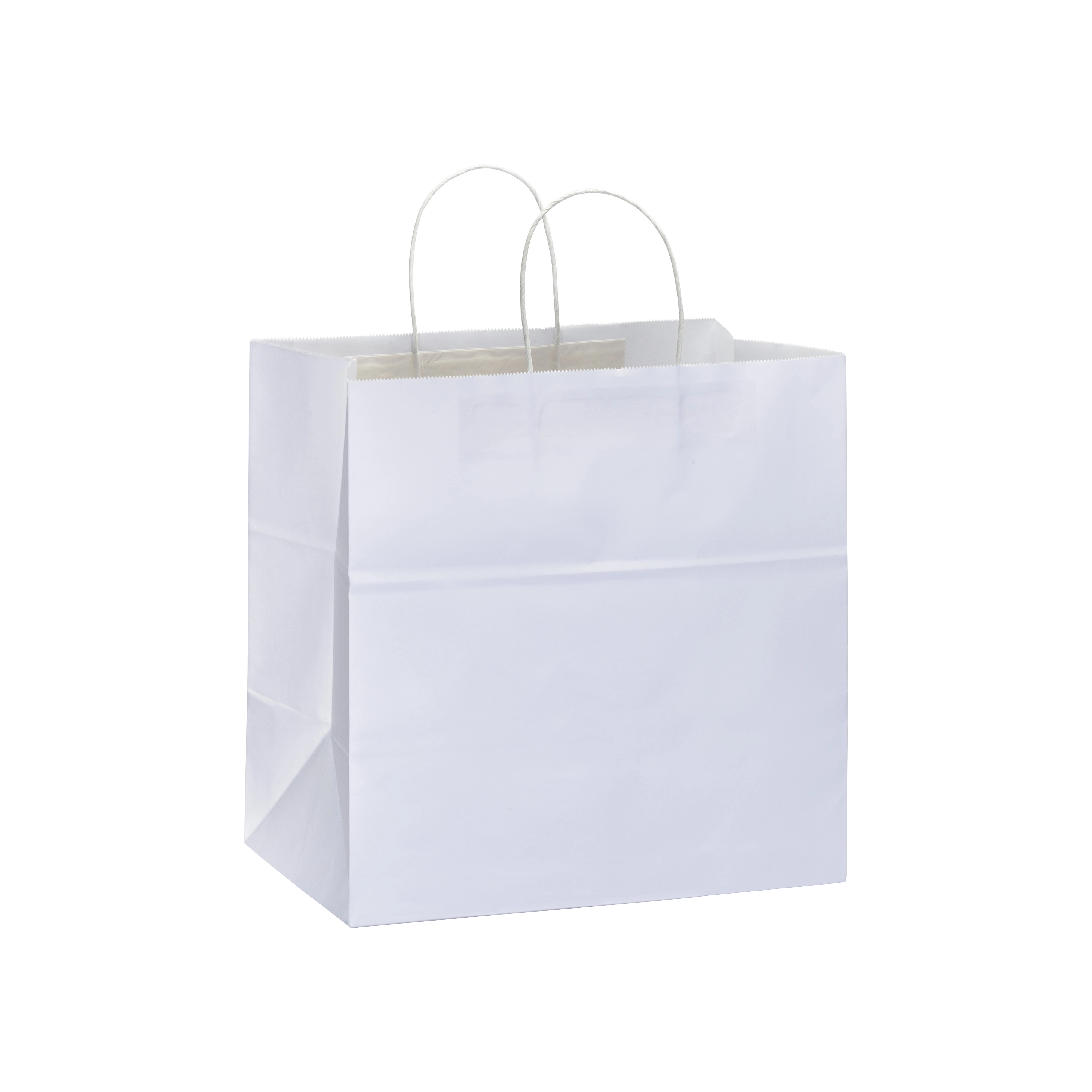 Immagine Shopper in carta 100 gr/m2 con soffietto