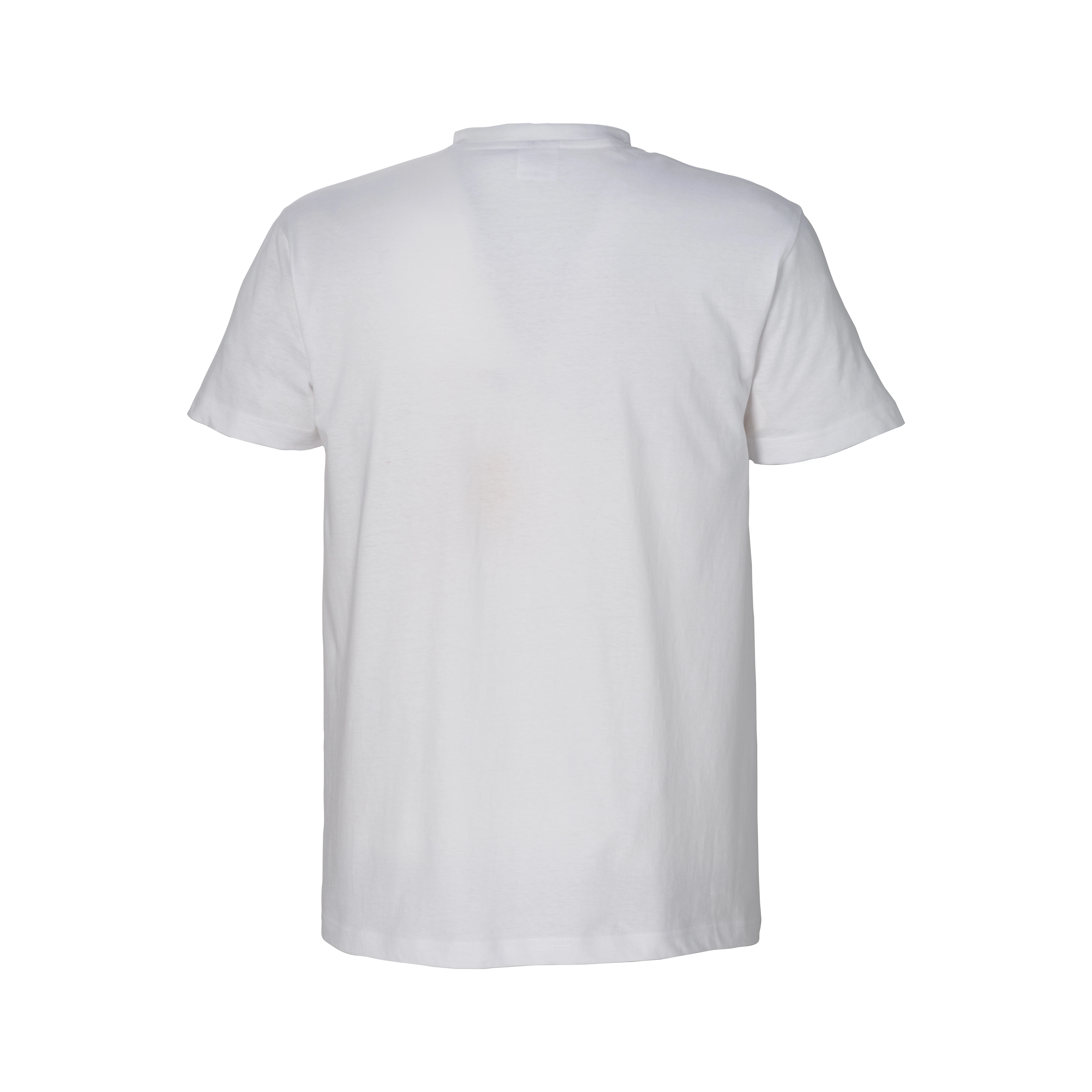 Immagine T-shirt tubolare 100% cotone biologico