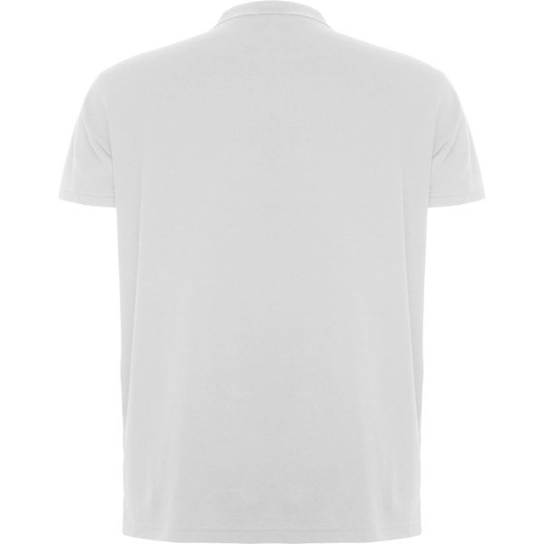 Immagine ROVER - Polo manica corta