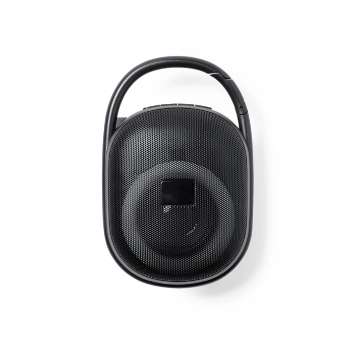 Immagine ABS SPEAKER