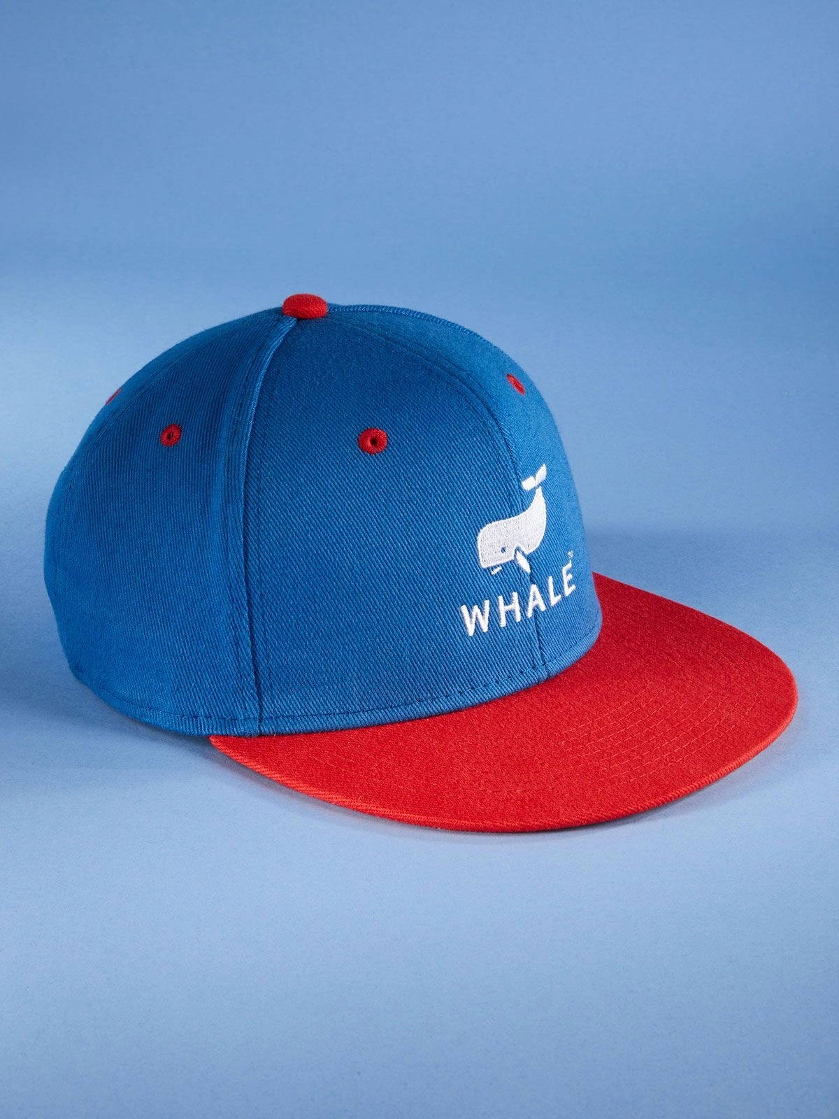 Immagine 6 Panel Pro Cap