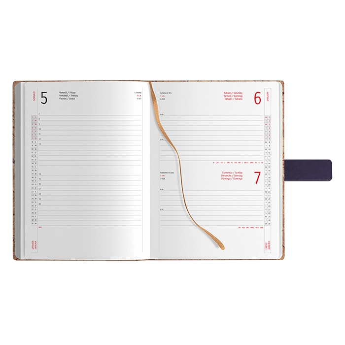 Immagine AGENDA GIORNALIERA