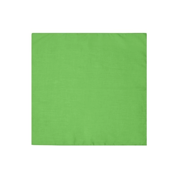 bandana-lime-green-35.webp