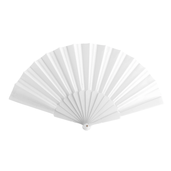 Immagine Ventaglio Tela