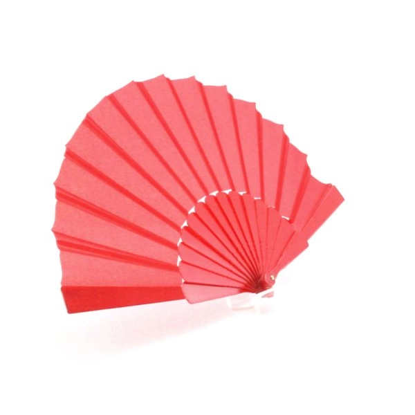 Immagine Ventaglio Tela