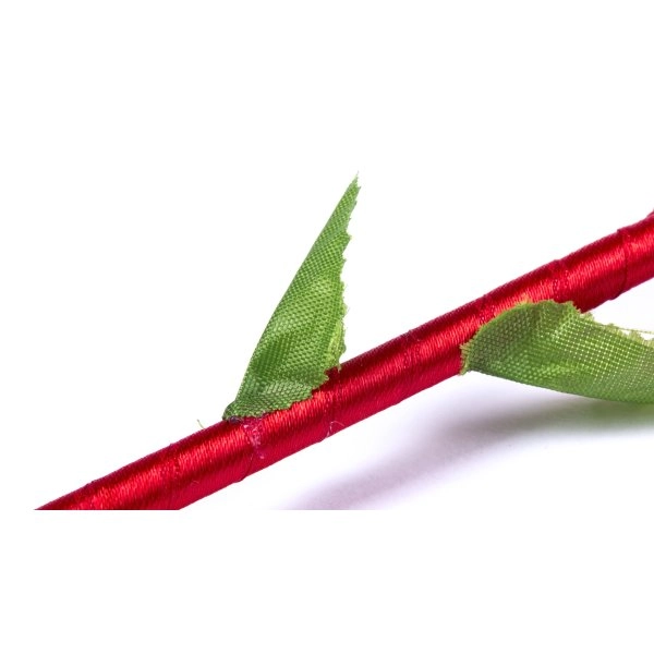 Immagine Penna a Sfera Ximor