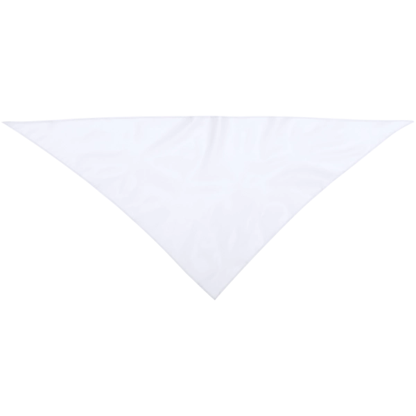 bandana-plus-2.webp