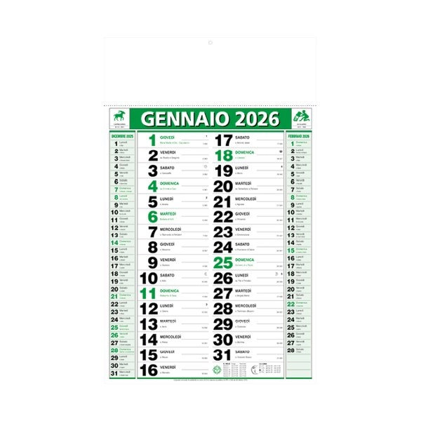 Immagine Calendario 2026 da muro mensile bicolore, 12 fogli, su carta patinata, termosaldato