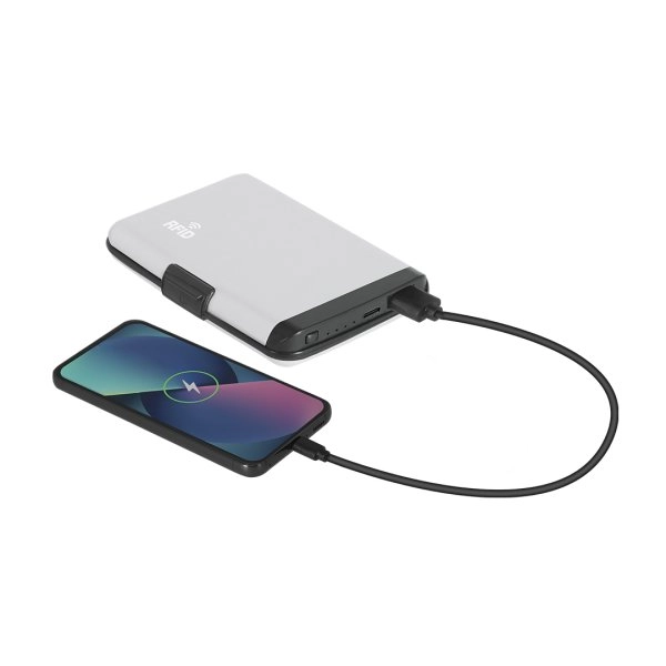 Immagine Porta Carte Power Bank Chefler