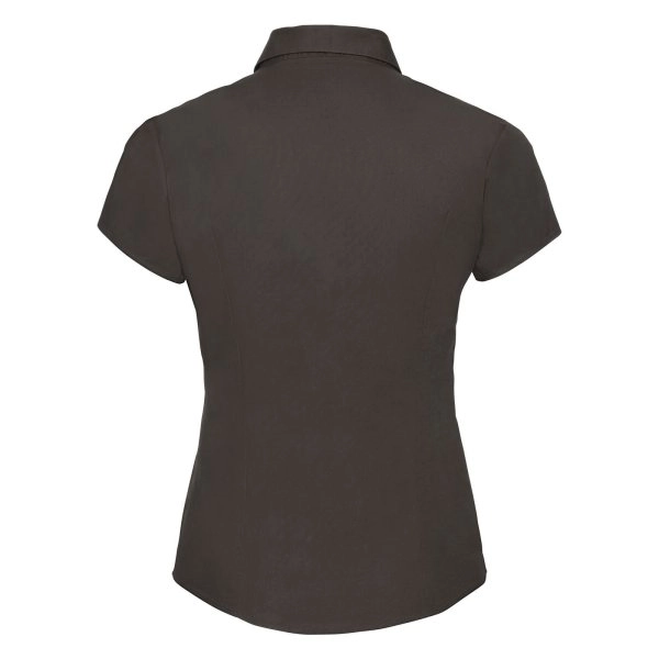 ladies-short-sleeve-easy-care-fitted-shirt-chocolate-11.webp