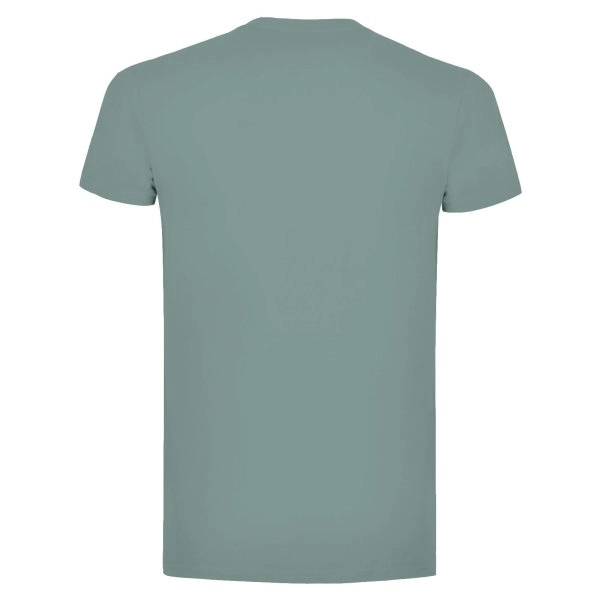 t-shirt-moon-dusty-green-126.webp