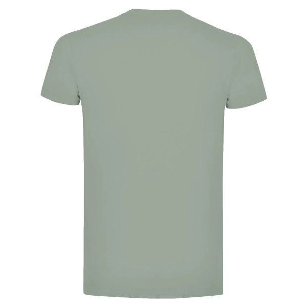 t-shirt-moon-dusty-green-127.webp