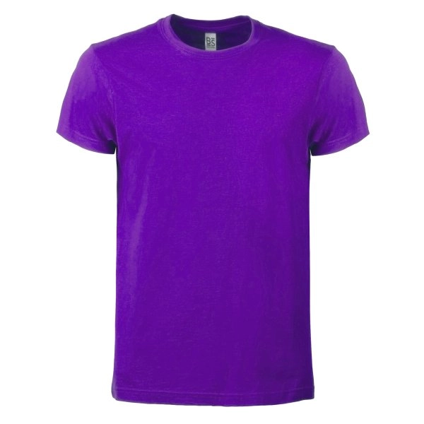 evolution-t-shirt-purple-15.webp