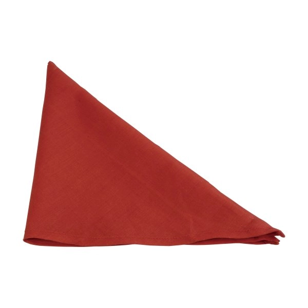 foulard-bandana-in-cotone-e-poliestere-rosso-12.webp