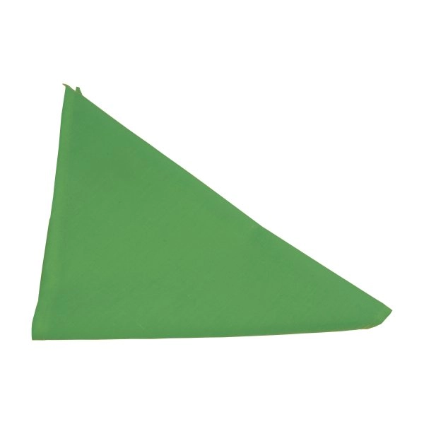 foulard-bandana-in-cotone-e-poliestere-verde-8.webp