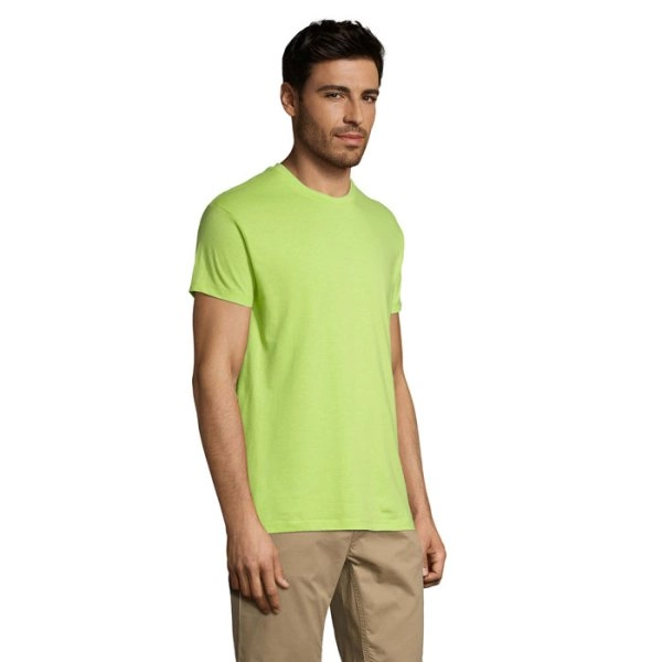 regent-apple-green-67.webp