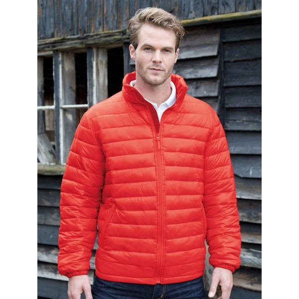 Mens Ice Bird Padded Jacket