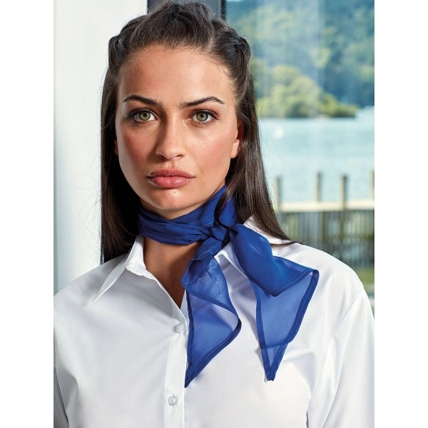 ladies-chiffon-scarf-1.webp