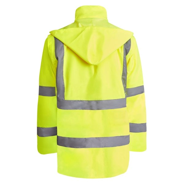 merak-giallo-fluo-7.webp