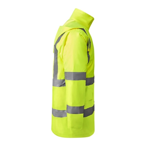 merak-giallo-fluo-9.webp